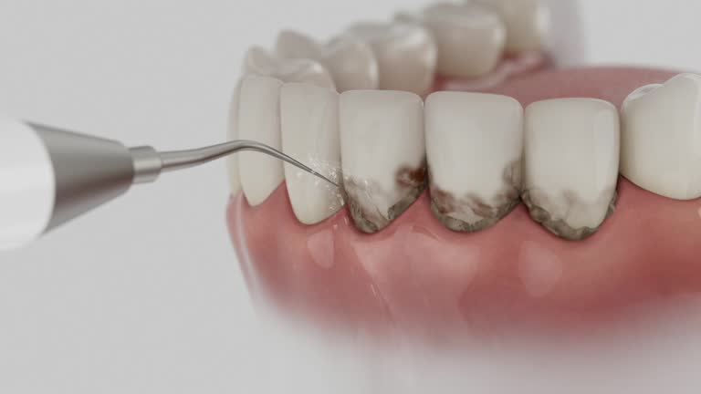 Reliable Dental contractor in Demopolis, AL by Dentist Open Now